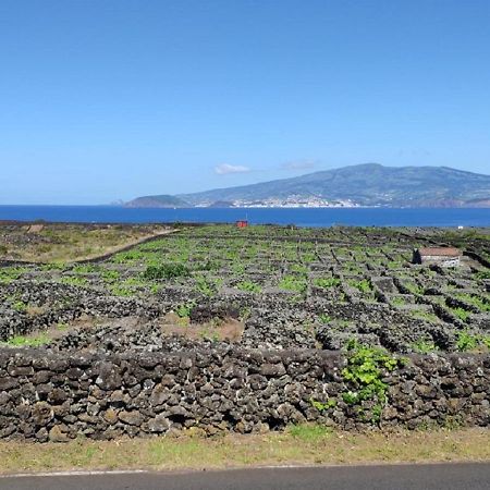 Casa Da Ilha Villa Madalena  Dış mekan fotoğraf