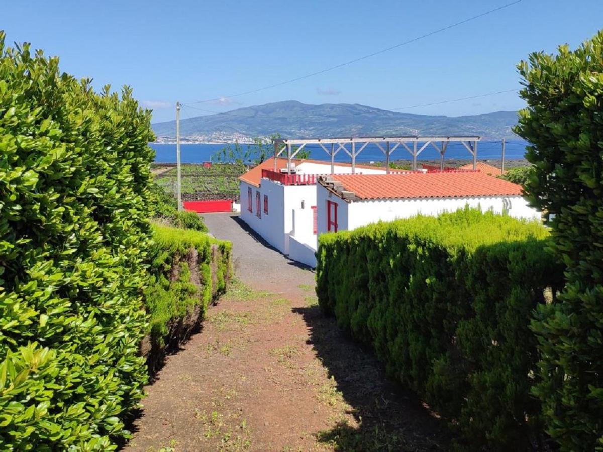 Casa Da Ilha Villa Madalena  Dış mekan fotoğraf