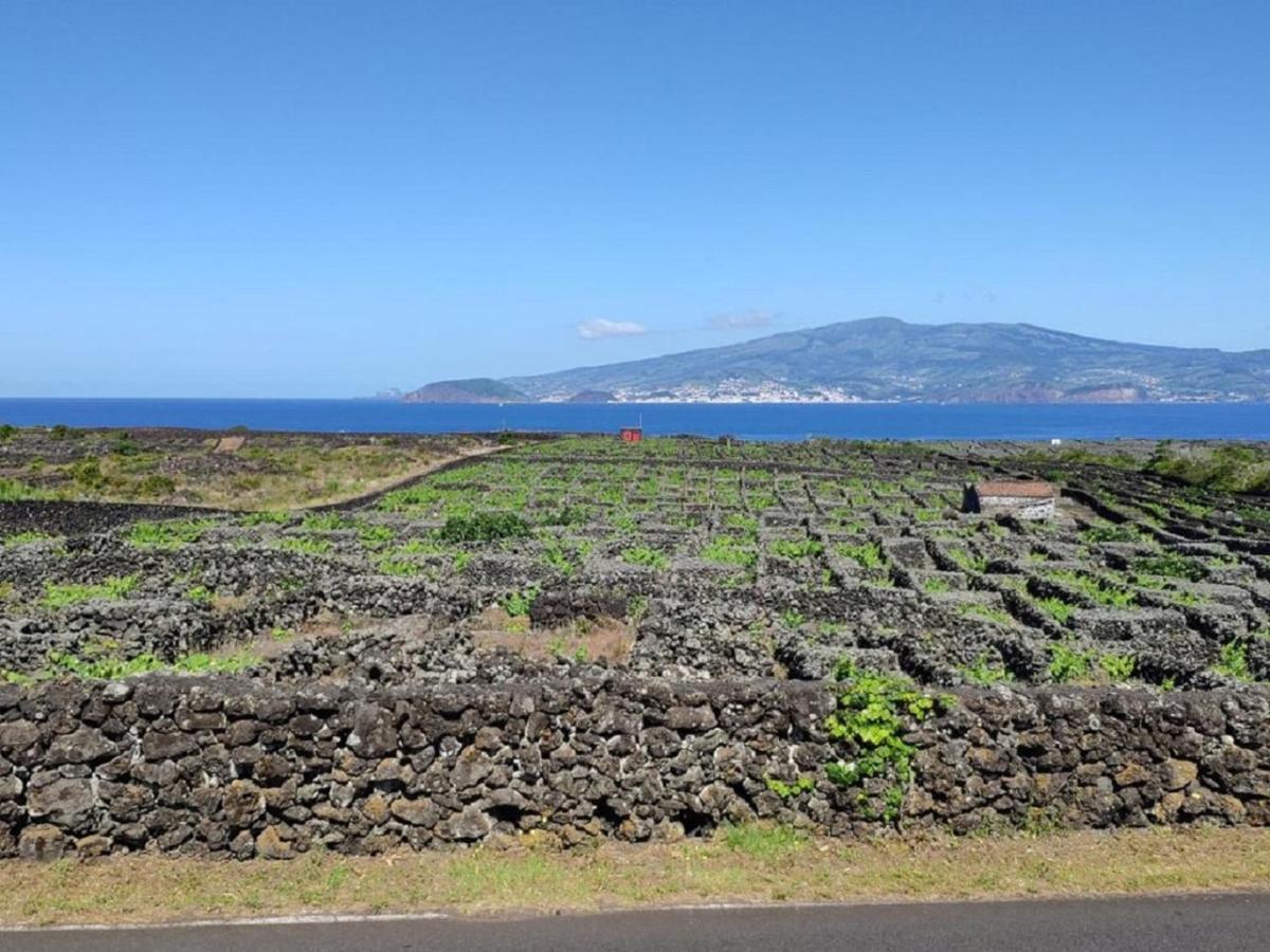 Casa Da Ilha Villa Madalena  Dış mekan fotoğraf