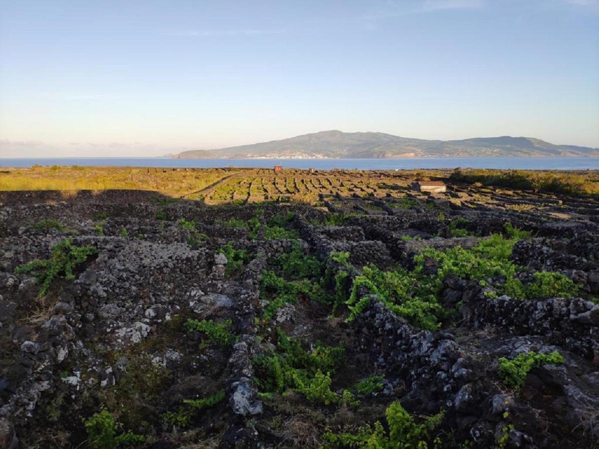 Casa Da Ilha Villa Madalena  Dış mekan fotoğraf